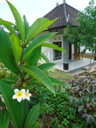 Bingin Family Bungalow Uluwatu Екстериор снимка